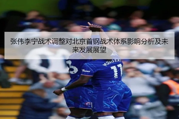 zhang-wei-li-ning-zhan-shu-tiao-zheng-dui-bei-jing-shou-gang-zhan-shu-ti-xi-ying-xiang-fen-xi-ji-wei-lai-fa-zhan-zhan-2-817.jpg